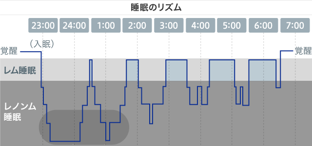 睡眠のリズム